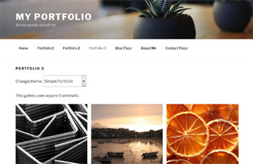 Simple Portfolio Theme